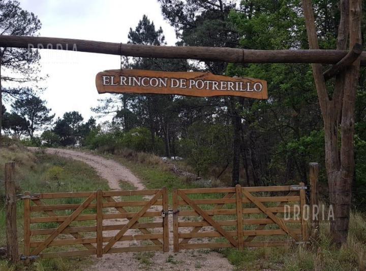 Terreno · 6000m²