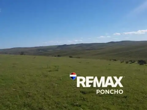 Vend0 campo productivo agricultura y ganadería