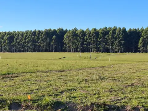 Venta de lotes financiados - loteo campo esquina