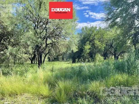 Lote a la venta en cerro de oro - esquina - merlo san luis