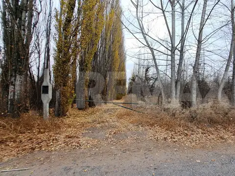 Venta chacra 6 hectareas san patricio del chañar
