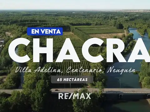Venta chacra 65 hectáreas, centenario neuquen