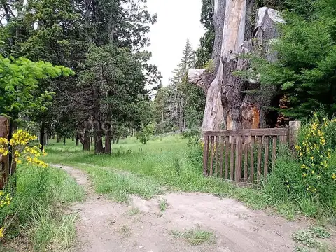 Oportunidad de desarrollo en villa traful