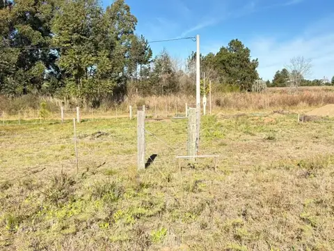 Terreno el martillo