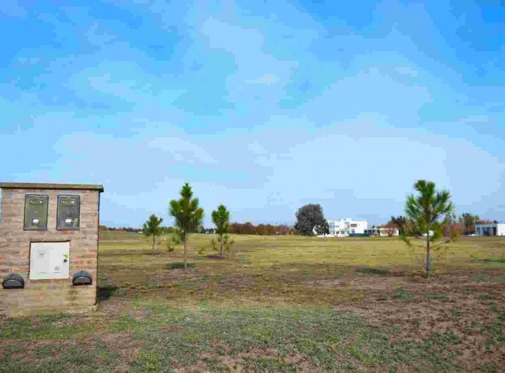 Terreno · 2007m²