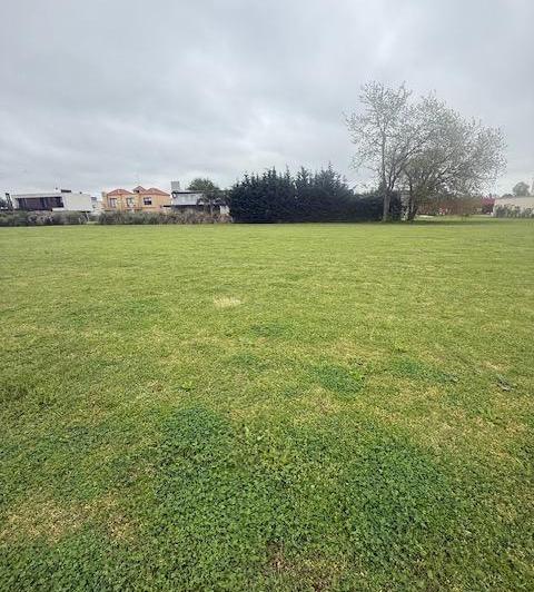 Terreno · 979m²