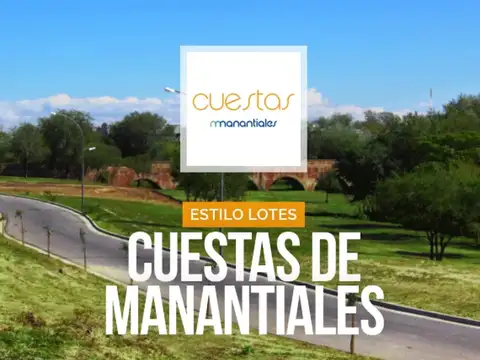 Lote en venta en cuestas de manantiales