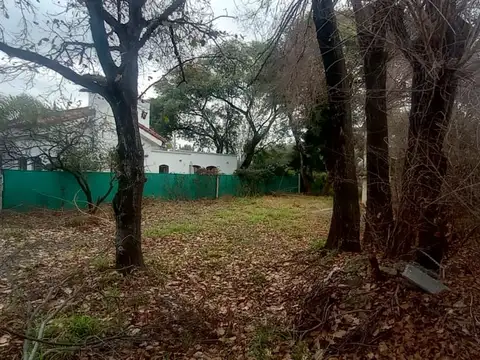 Venta lote de 650 mt2 en villa rivera indarte