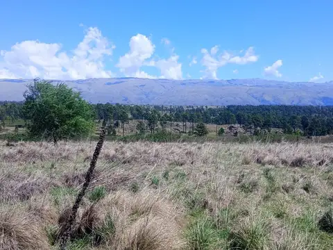 Se vende hermoso campo de 3 ,3 has en yacanto