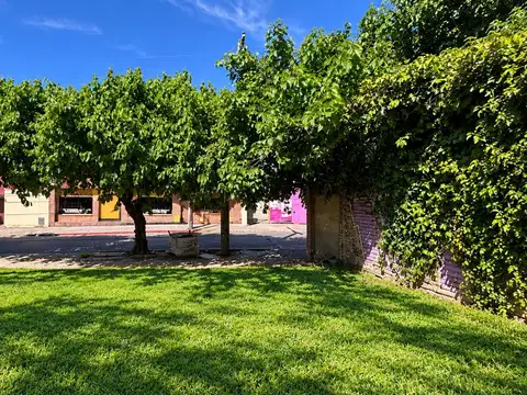 Venta terreno b alto alberdi apto desarrollo