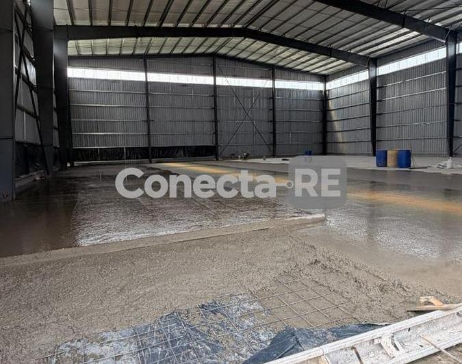 Bodega-Galpón · 1000m²