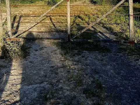 Campo ganadero en la gallareta