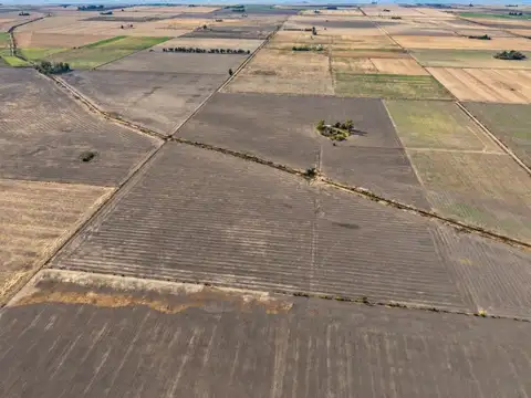 Campo a la venta en centeno 49has.