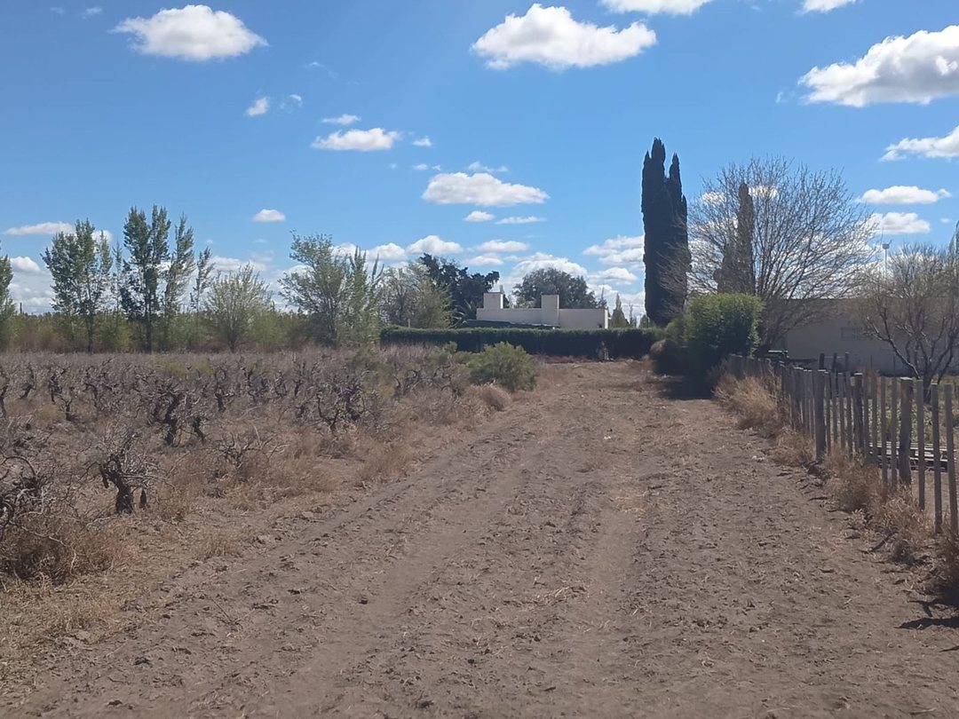 Venta Terreno 8HA en General Alvear Mendoza