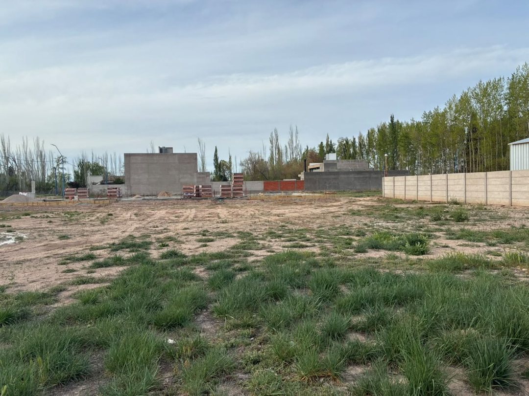 LOTE COMERCIAL Y RESIDENCIAL 446M2 EN GENERAL ROCA