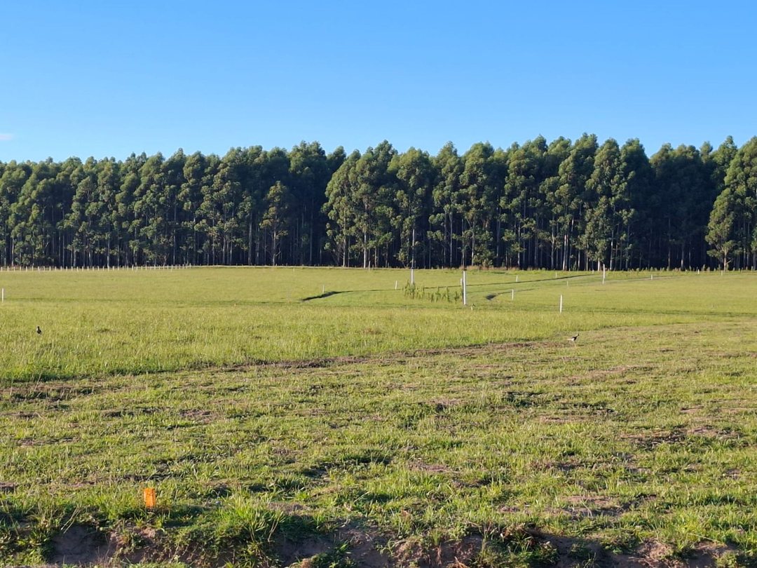 Venta de Lotes Financiados - LOTEO CAMPO ESQUINA