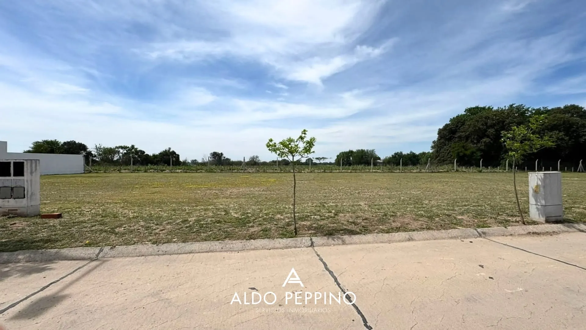 LOTE PREMIUM - CAMPO CHICO