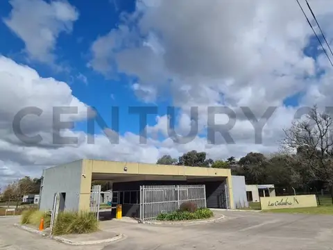 Terreno en Venta en Alto Los Cardales, Campana