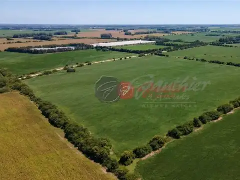 Terreno en Venta en Zarate, Partido de Zárate
