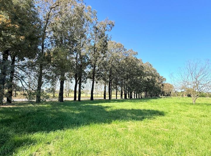 Terreno · 10043m²