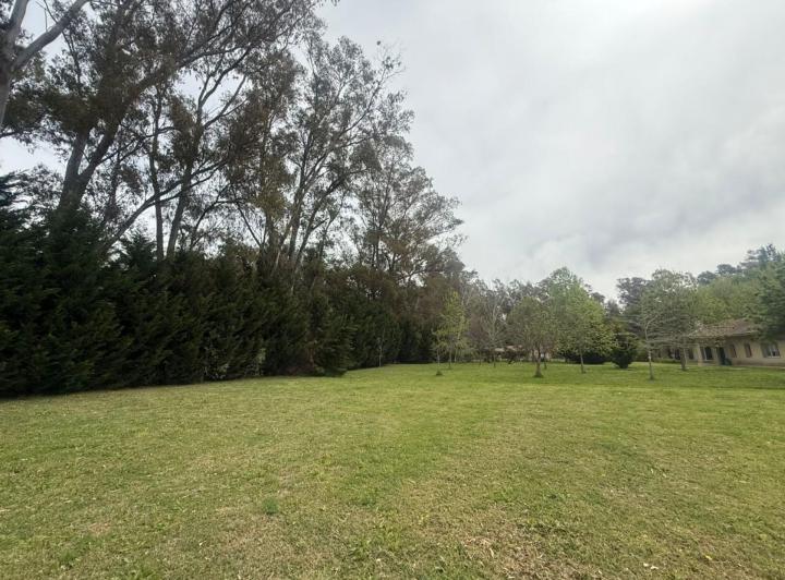 Terreno · 6000m²