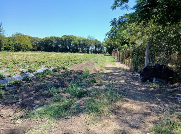 Terreno · 60m²