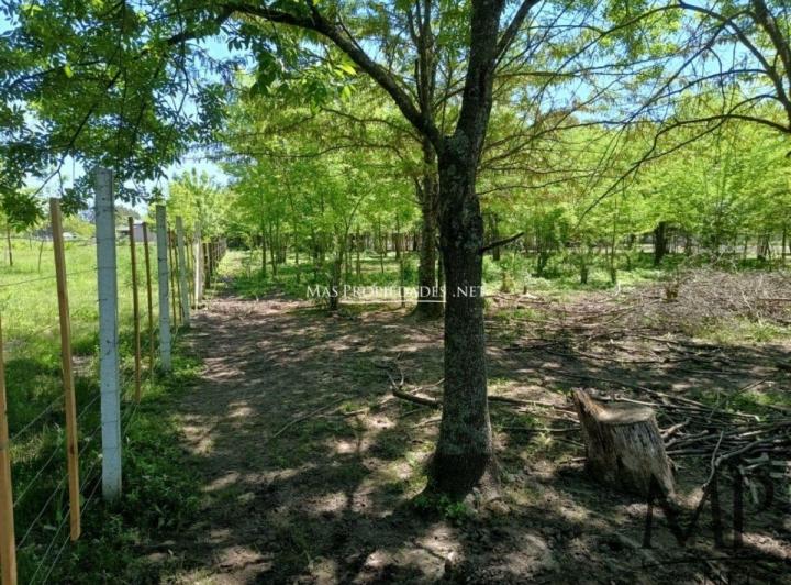 Terreno · 2250m²