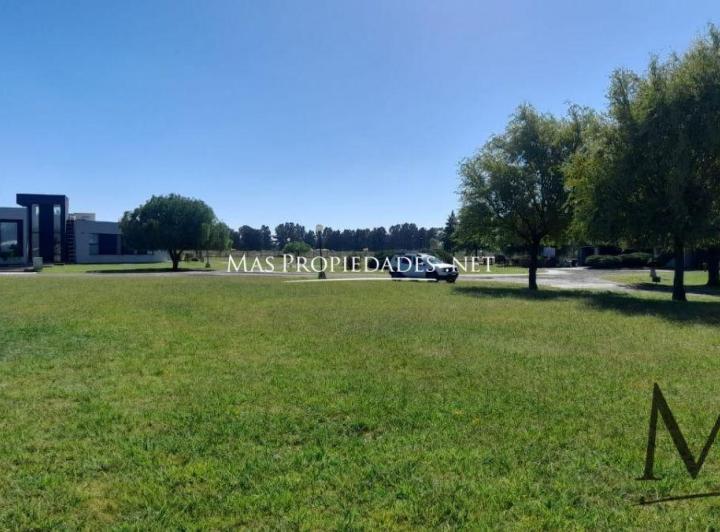 Terreno · 1300m²