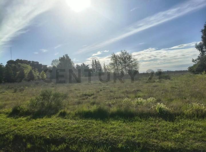 Terreno · 956m²