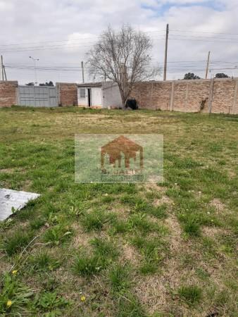 Terreno · 1000m² · 1 Ambiente