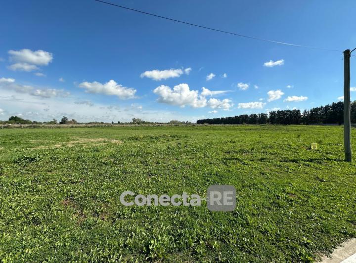 Terreno · 12800m²