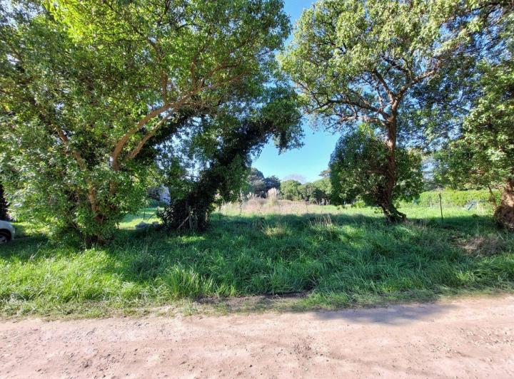 Terreno · 450m²