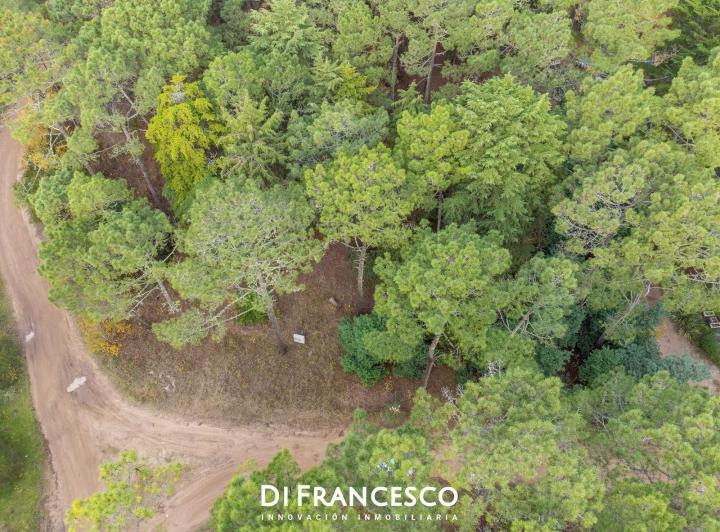Terreno · 1328m²