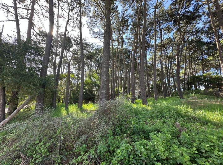 Terreno · 337m²