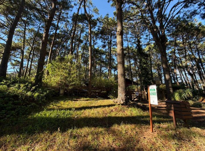 Terreno · 350m²