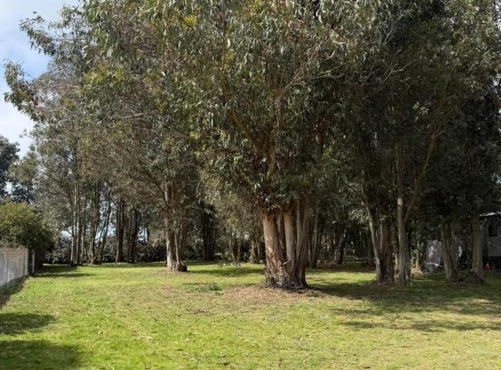 Terreno · 842m²