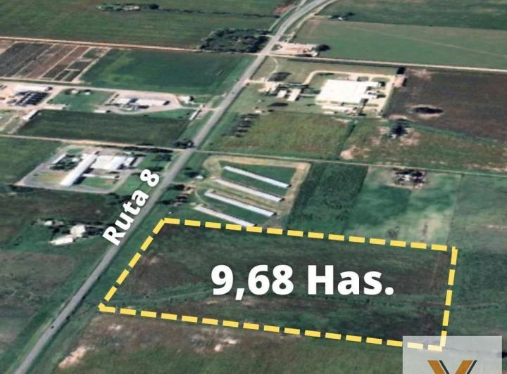 Campo · 96852m²