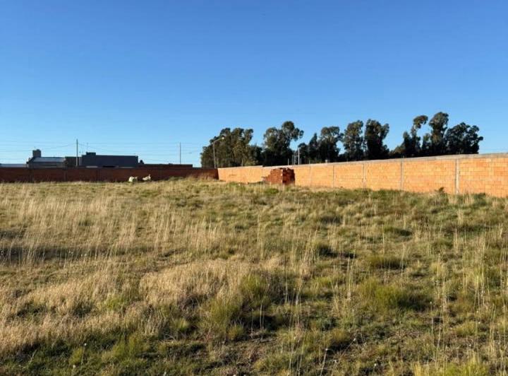 Terreno · 10000m²