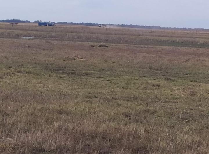 Campo · 155m² · 1 Ambiente