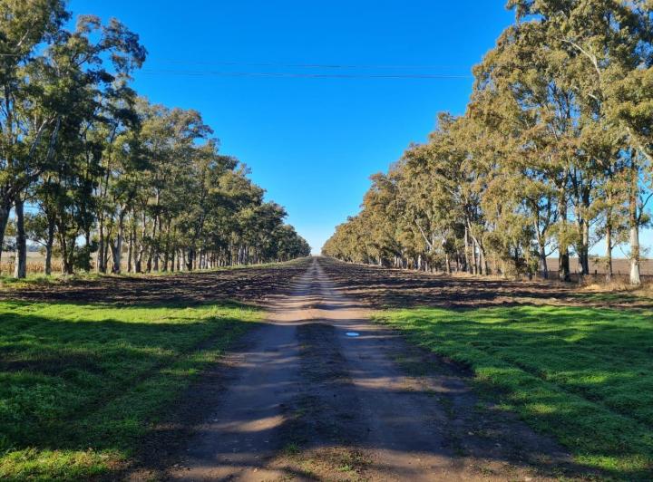 Terreno · 6900000m²