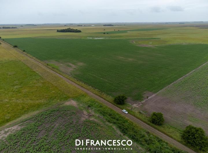Campo · 107ha