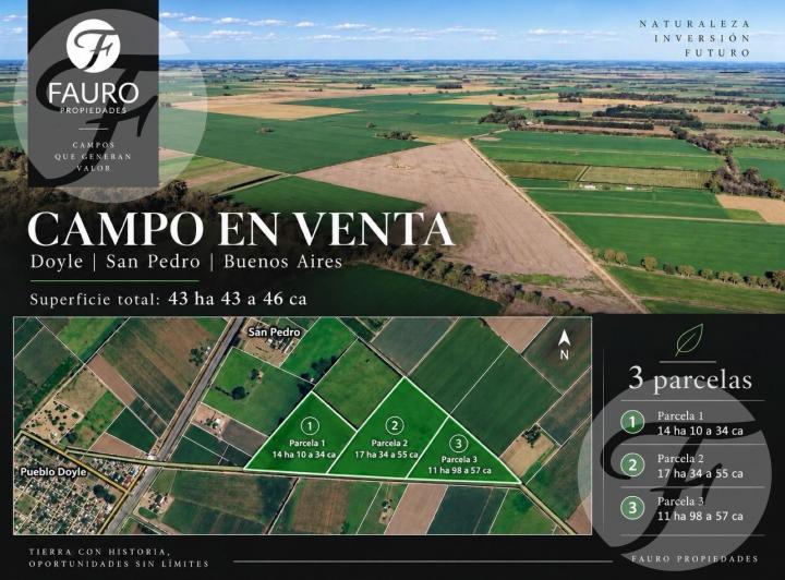 Campo · 43ha