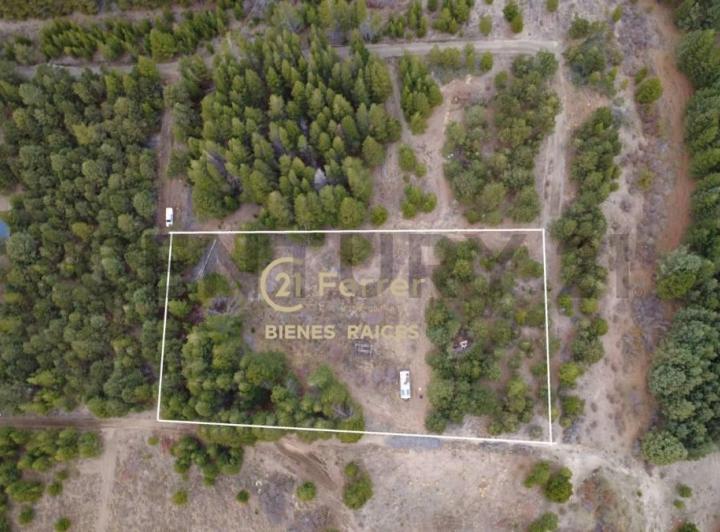 Terreno · 5000m²