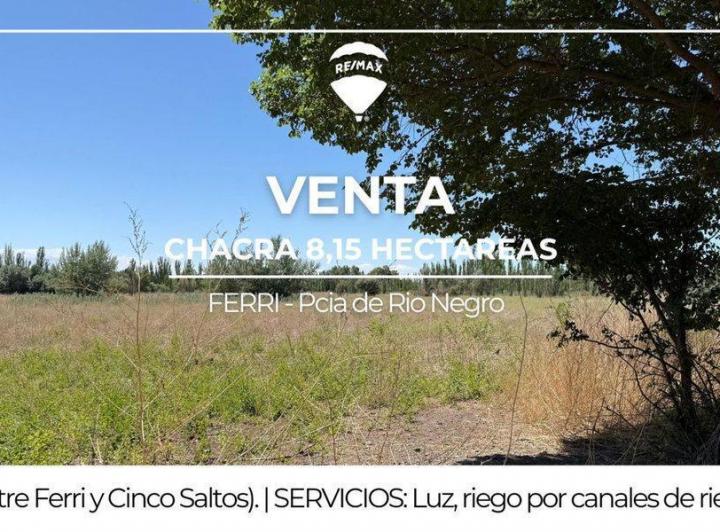 Campo · 8ha