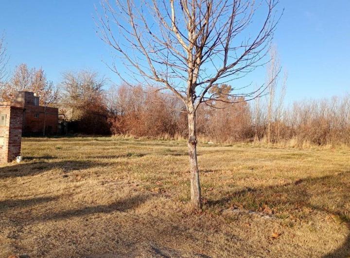 Terreno · 712m²