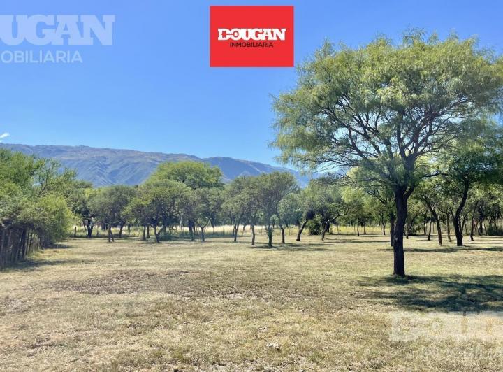 Terreno · 1400m²