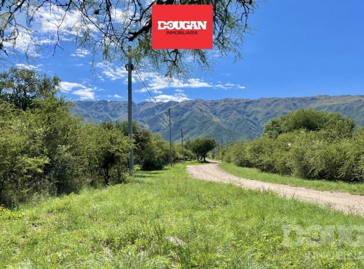 Terreno · 1723m²