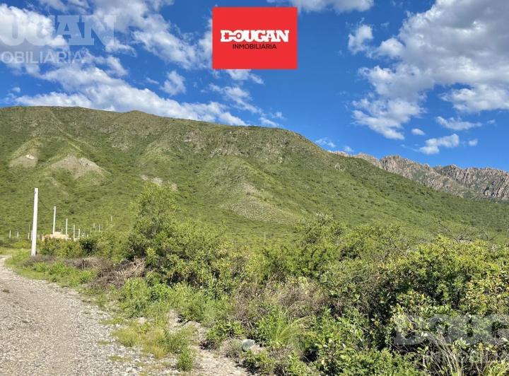 Terreno · 2500m²