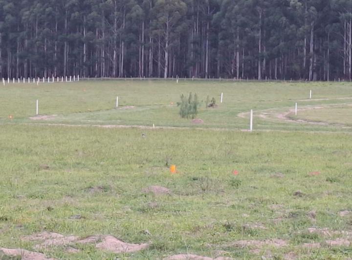Terreno · 880m²