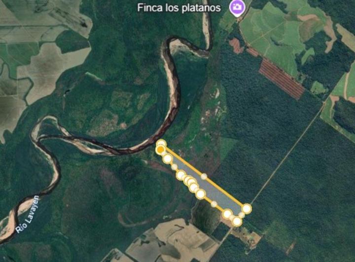 Campo · 45ha